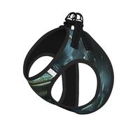Frog Wizard Dog Harness - Breathable, Reflective, And Adjustable Pet Vest, Suitable For Small Cats And Dogs