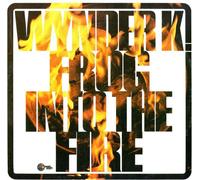 Frog, Wynder K. - Into the Fire