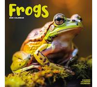 Frogs 2026 Calendar | Square Wall Calendar | Reptile Gift | Plastic Free Packaging | by Avonside Publishing