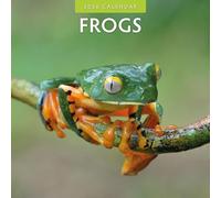Frogs - 2026 Square Wall Calendar - by Red Robin Publishing