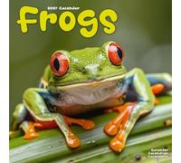 Frogs 2027 Calendar | Square Wall Calendar | Reptile Gift | Plastic Free Packaging | by Avonside Publishing