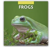 Frogs 2027 Square Wall Calendar: Original Red Robin Publishing Ltd-Kalender [Mehrsprachig] [Kalender]