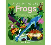 Frogs (A Day in the Life): What Do Frogs, Toads, and Tadpoles Get Up to All Day?: 7