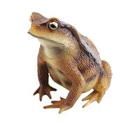 Frogs for Kids Mini Cute Educational