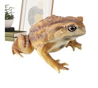 Frogs for Kids Mini Cute Educational Figurines