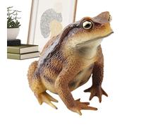 Frogs for Kids Realistic Educational Cute Mini