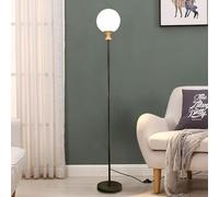 FROIDEXG Nordic Dimmable Globe Floor Lamp with Frosted Glass Shade Modern Standing Light for Living Room Iron Body Vertical Lamp with Foot Switch for Office Bedroom Study Room Hotel