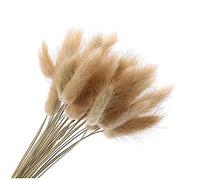 Froiny 20 Pcs Hay Flower Natural Dried Flower Rabbit Tail Bouquet Bunch Fresh Decoration Home Decoration