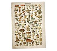 Froiny Vintage Posters Canvas Botanical Prints Cottagecore Poster Flower Art Print Mushroom Drawings for Home Bedroom Wall Decor, 30*40cm