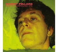 From A Compound Eye by Robert Pollard (2006-01-24)