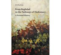 From Baghdad to the Pathways of Diplomacy: A Personal History