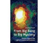 From Big Bang to Big Mystery: Human Origins in the Light of Creation and Evolution