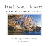 From Blizzards to Blossoms: Washington, D.C.'s Magnificent Weather