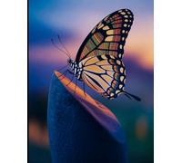 From Cocoon to Crown: The Genuine Journey to Lasting Success Beyond Poverty and Quick Riches