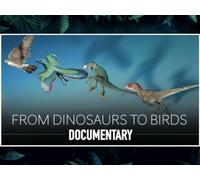From Dinosaurs to Birds: The Remarkable Evolutionary Journey Unveiled