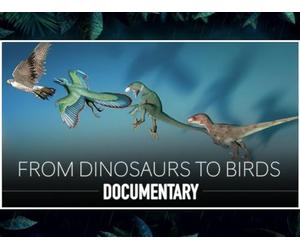 From Dinosaurs to Birds: The Remarkable Evolutionary Journey Unveiled