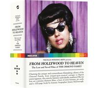 From Hollywood to Heaven: The Lost and Saved Films of the (Blu-ray) (US IMPORT)