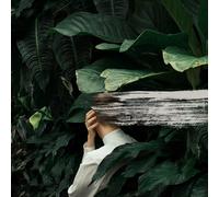 From Indian Lakes Everything Feels Better Now (CD) (US IMPORT)