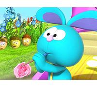 From Little Acorns Great Oakleys Will Sleep