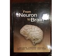 From Neuron to Brain