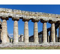 From Temple to Basilica-Timber Roof Systems