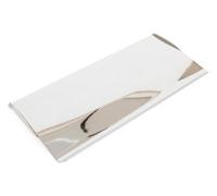 From The Anvil Polished Chrome Small Letter Plate Cover