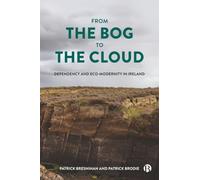 From the Bog to the Cloud: Dependency and Eco-Modernity in Ireland