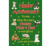 from The Cat Anniversary Card (Purrfect Mum and Dad)