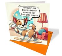 From The Dog - Funny Birthday Card - Bumlick Before Envelope Lick - Ideal for 18th 21st 25th 30th 40th 50th 60th