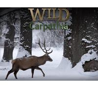 From the Mountains to the Sea