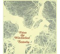 From the Witchwood Import, Original recording remastered Edition by Strawbs (1998) Audio CD