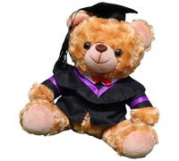 FROMCEO Graduation Theme Bear Soft Plush Toy With Degree Hat Robe Customizable Student Graduation Ceremony Kindergarten Bear