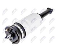 NTY Air Suspension Strut A-LR-027 Front Left & Right for Land Rover Range Rover Sport L320