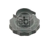 FRONT AXLE LEFT NUT, KINGPIN 30028 FEBI BILSTEIN