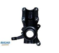 BUGIAD BSP25292 Steering knuckle