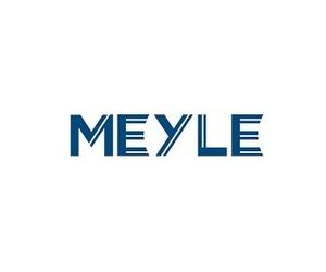Front Brake Disc 2x MEYLE Fits CHRYSLER DODGE Journey FIAT VW 07-15 4779783AA
