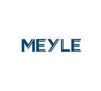 Front Brake Disc 2x MEYLE Fits DACIA Logan Sandero RENAULT 19 I 81-16 2677509716