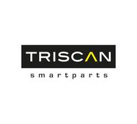 TRISCAN 8125 24125 Brake disc backing plate