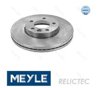 Front Brake Disc VW:TRANSPORTER V T5,VI T6,MULTIVAN V 5,VI 6,TOUAREG,IV T4