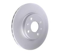 Front Brake Discs 2 Pieces Pair 257mm Diameter Vented Braking - Pagid LD20389P