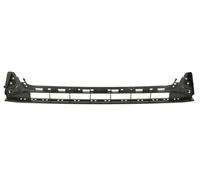 Front Bumper Grille Fits: AUDI A6 C8 02.18-