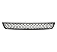 Front Bumper Grille For: BMW X3 F25 09.10-04.14