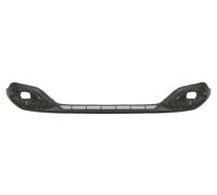Front Bumper Lower Fits for: CITROEN C4 III 06.20-