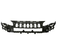 Front Bumper Reinforcement Bracket For: CITROEN BERLINGO II 04.08-01.12