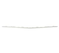 Front Bumper Trim Strip For: MERCEDES CLA C117 01.13-03.16