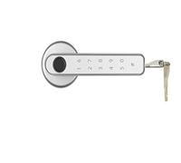 Front Door Lock Home Smartlife Fingerprint & PIN Wireless Smart Handle Lock Biometrics Tuya Blue-Tooth Access Control Door(Kit2)