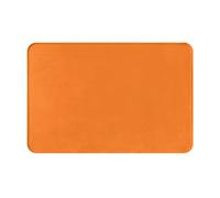 Front Door Mat 16 x 24 in Heavy Duty Welcome Mat for Outdoor Indoor Beauty Burnt Orange Doormat Dirt Resist Entryway Mat Absorbent Flannel Bath Mat Non-Slip Floor Mats