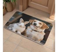 Front Door Mat Heavy Duty Bathroom Rugs Welcome Mat for Outdoor Indoor Cat Dog Rabbit Super Absorbent Bath Rugs for Entryway Outside Patio Porch, 40x60cm