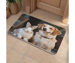 Front Door Mat Heavy Duty Bathroom Rugs Welcome Mat for Outdoor Indoor Cat Dog Rabbit Super Absorbent Bath Rugs for Entryway Outside Patio Porch, 40x60cm