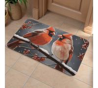 Front Door Mat Heavy Duty Bathroom Rugs Welcome Mat for Outdoor Indoor Cute Cardinal Birds Super Absorbent Bath Rugs for Entryway Outside Patio Porch, 40x60cm